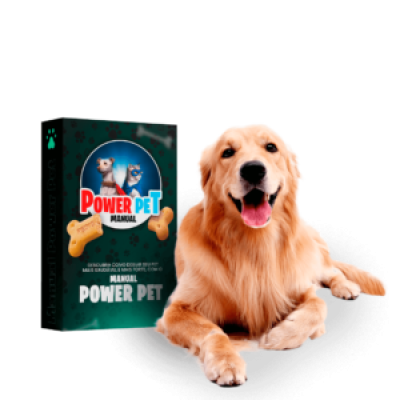 capa-cachorro-pet-300x300 9